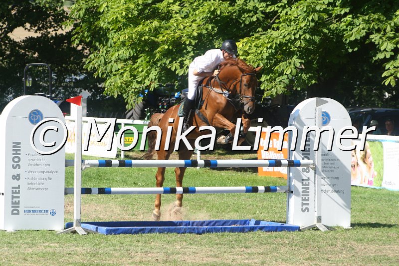 308M2583_Dornadello_Springpf L.JPG